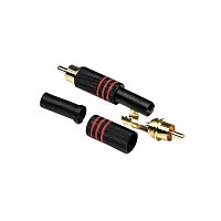 INVOTONE RCA200M/RD