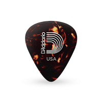 PLANET WAVES 1CSH4-10 CELLULOID SHELL MED